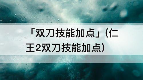 「双刀技能加点」(仁王2双刀技能加点)