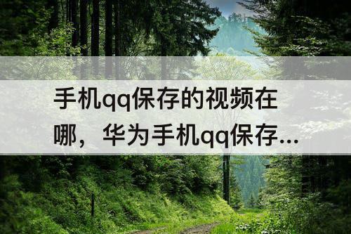 手机qq保存的视频在哪，华为手机qq保存的视频在哪里