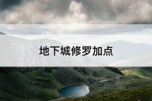 地下城修罗加点