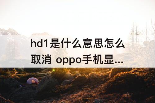 hd1是什么意思怎么取消 oppo手机显示hd1是什么意思怎么取消