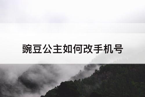 豌豆公主如何改手机号