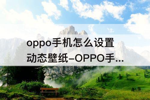 oppo手机怎么设置动态壁纸-OPPO手机怎么设置动态壁纸有声音
