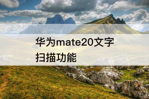 华为mate20文字扫描功能