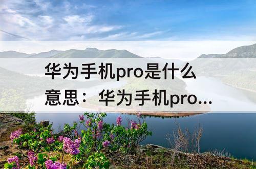 华为手机pro是什么意思：华为手机pro是什么意思中文翻译