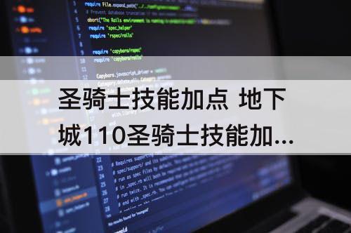 圣骑士技能加点 地下城110圣骑士技能加点