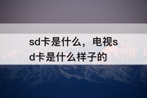 sd卡是什么，电视sd卡是什么样子的
