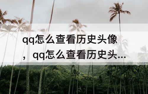 qq怎么查看历史头像，qq怎么查看历史头像记录