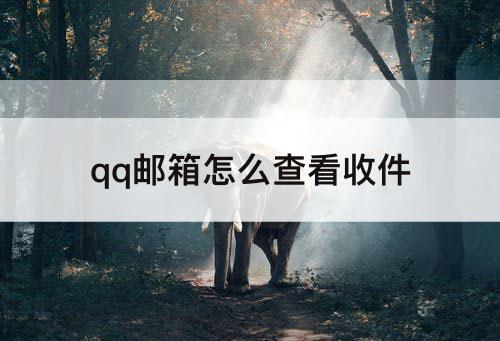 qq邮箱怎么查看收件