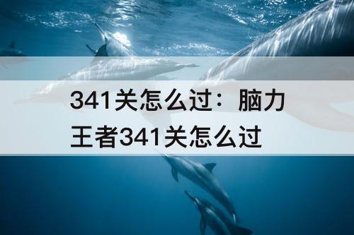 341关怎么过：脑力王者341关怎么过