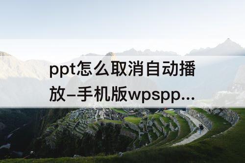 ppt怎么取消自动播放-手机版wpsppt怎么取消自动播放怎么设置