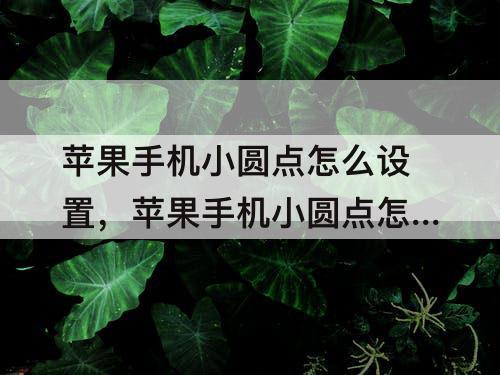 苹果手机小圆点怎么设置，苹果手机小圆点怎么设置截屏怎么设置到小圆点寄来