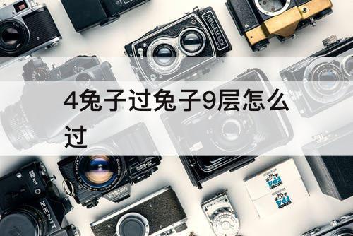 4兔子过兔子9层怎么过