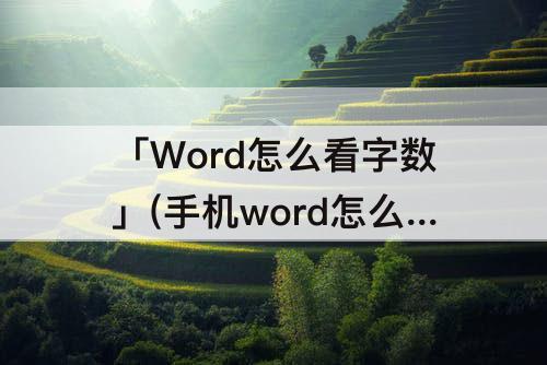 「Word怎么看字数」(手机word怎么看字数有多少)