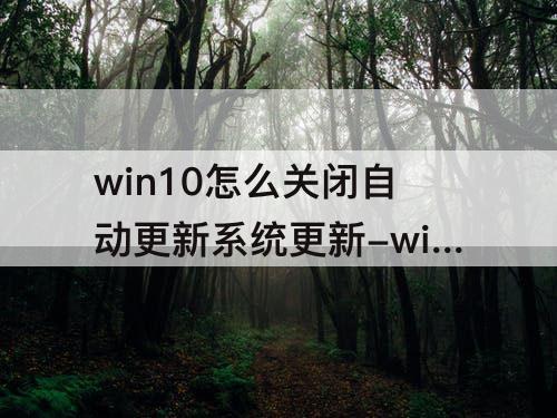 win10怎么关闭自动更新系统更新-win10怎么关闭自动更新系统更新永久