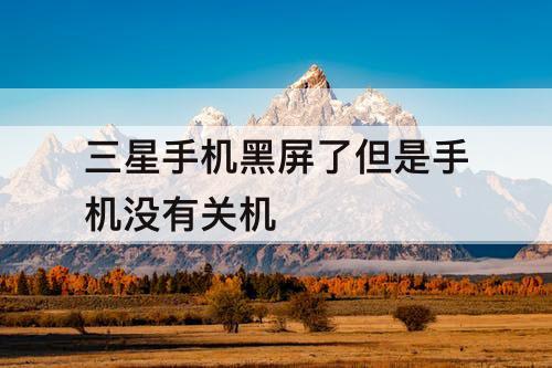 三星手机黑屏了但是手机没有关机