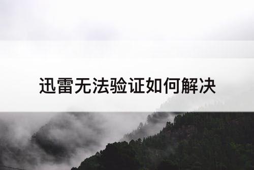 迅雷无法验证如何解决