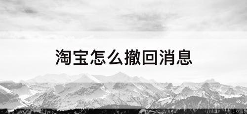 淘宝怎么撤回消息