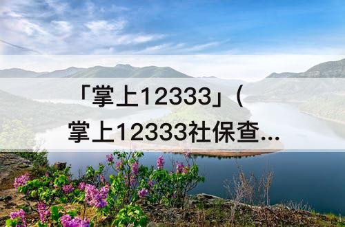 「掌上12333」(掌上12333社保查询网)