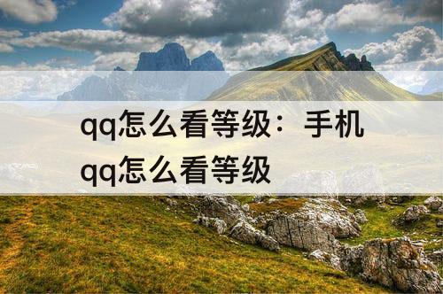 qq怎么看等级：手机qq怎么看等级