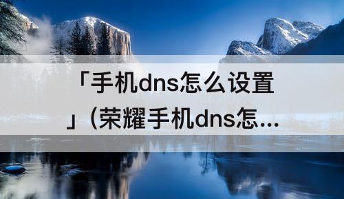 「手机dns怎么设置」(荣耀手机dns怎么设置在哪里)