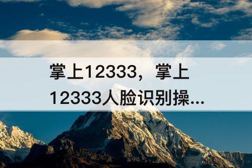 掌上12333，掌上12333人脸识别操作