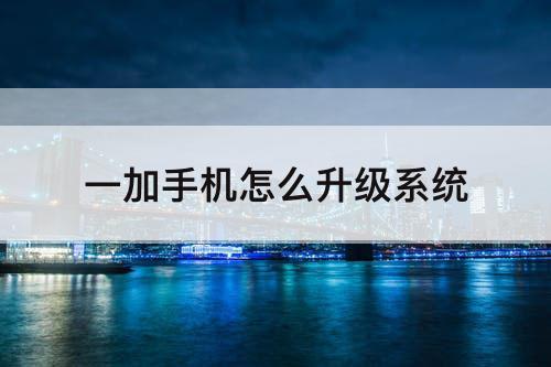 一加手机怎么升级系统