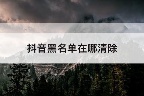 抖音黑名单在哪清除