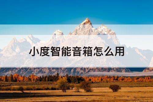 小度智能音箱怎么用