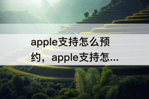 apple支持怎么预约，apple支持怎么预约电话