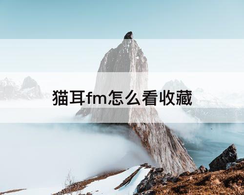 猫耳fm怎么看收藏