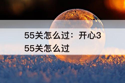 55关怎么过：开心355关怎么过