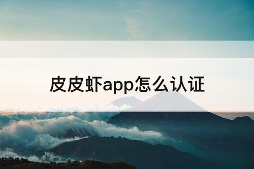 皮皮虾app怎么认证