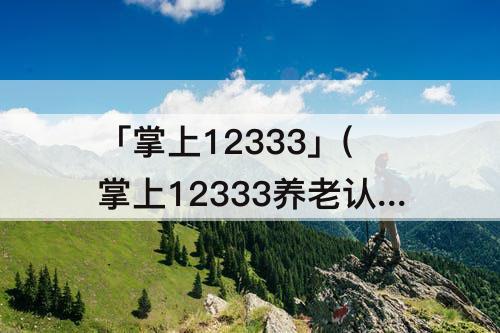 「掌上12333」(掌上12333养老认证下载)