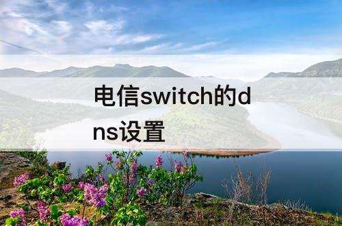 电信switch的dns设置