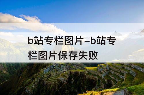 b站专栏图片-b站专栏图片保存失败