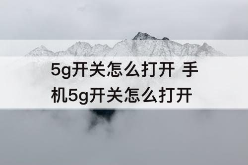 5g开关怎么打开 手机5g开关怎么打开