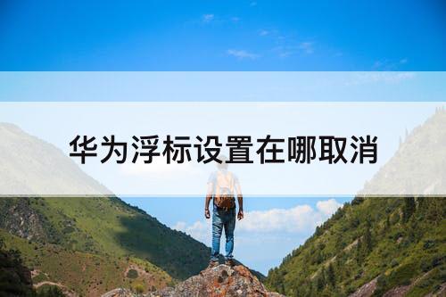 华为浮标设置在哪取消