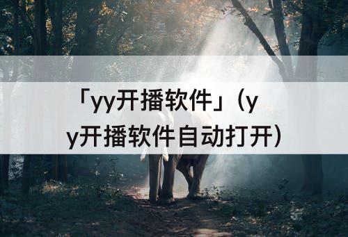 「yy开播软件」(yy开播软件自动打开)