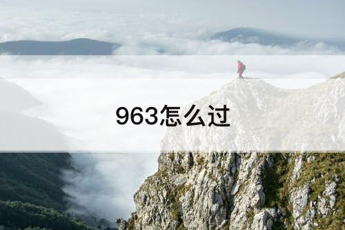 963怎么过