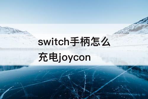 switch手柄怎么充电joycon