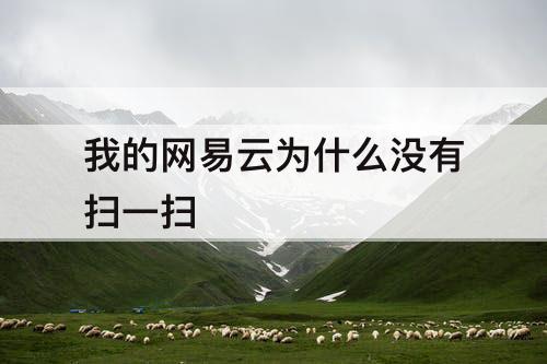 我的网易云为什么没有扫一扫