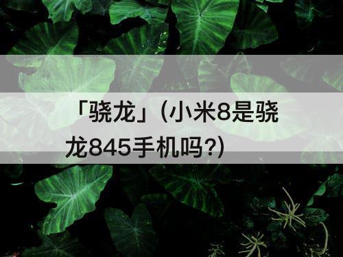 「骁龙」(小米8是骁龙845手机吗?)