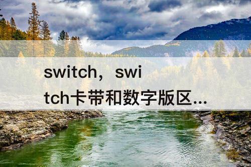switch，switch卡带和数字版区别