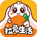 拉兔生活