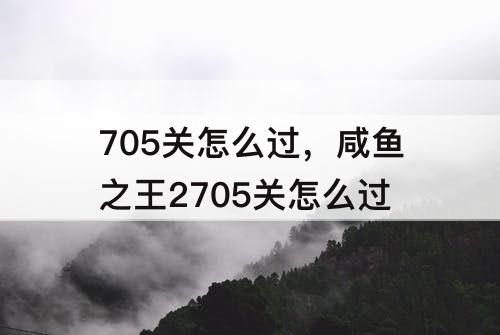 705关怎么过，咸鱼之王2705关怎么过