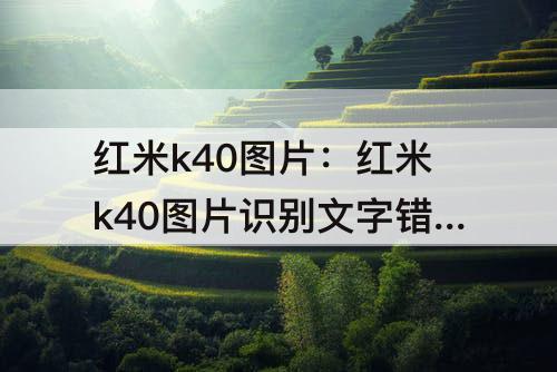 红米k40图片：红米k40图片识别文字错别字太多