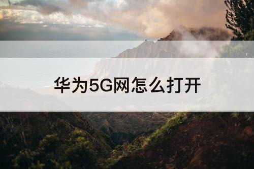 华为5G网怎么打开