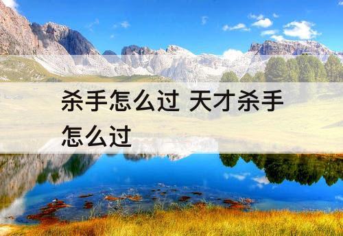 杀手怎么过 天才杀手怎么过