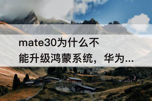 mate30为什么不能升级鸿蒙系统，华为mate30为什么不能升级鸿蒙系统