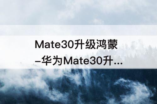 Mate30升级鸿蒙-华为Mate30升级鸿蒙后